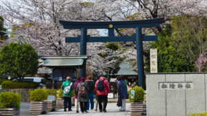 人気スポット厳選コース